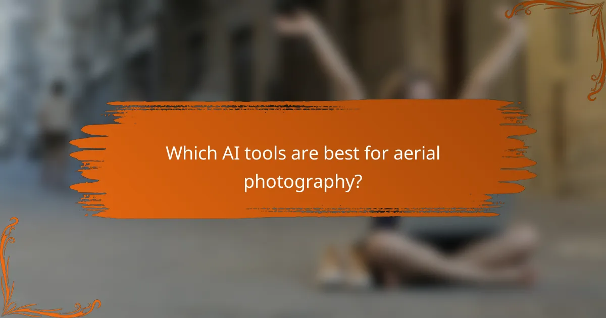 Which AI tools are best for aerial photography?